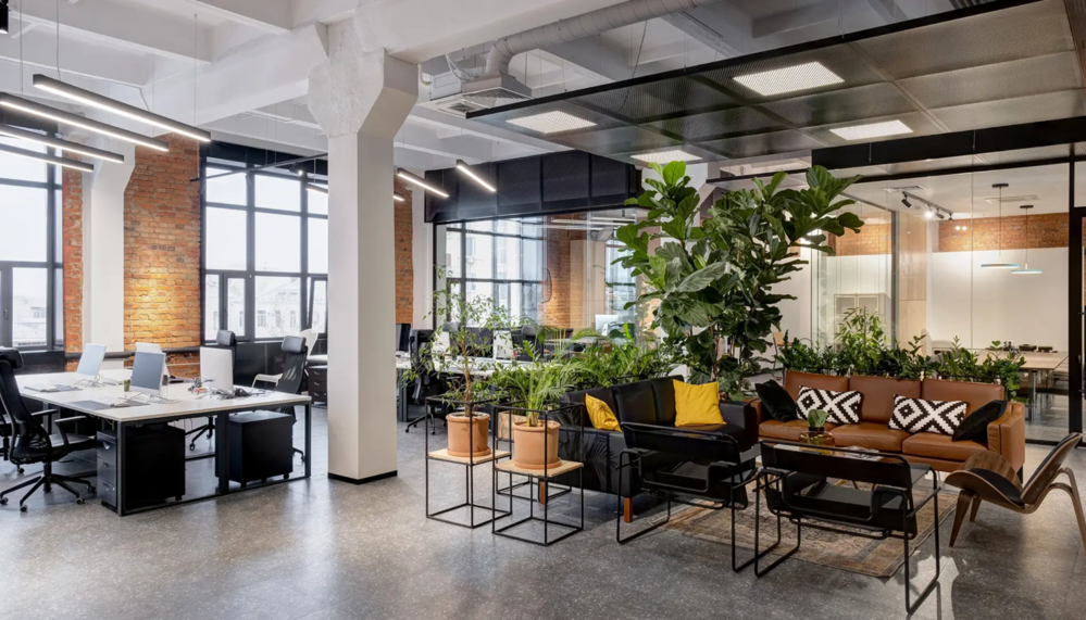 Office Renovation