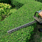 How to Spot the Best Landscaping Company Long Island?