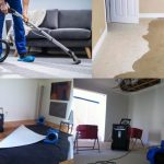What to Look For in a Water Damage Restoration Company