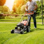 Lawn Care And Maintenance