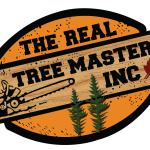 best tree services company