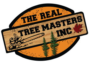 best tree services company