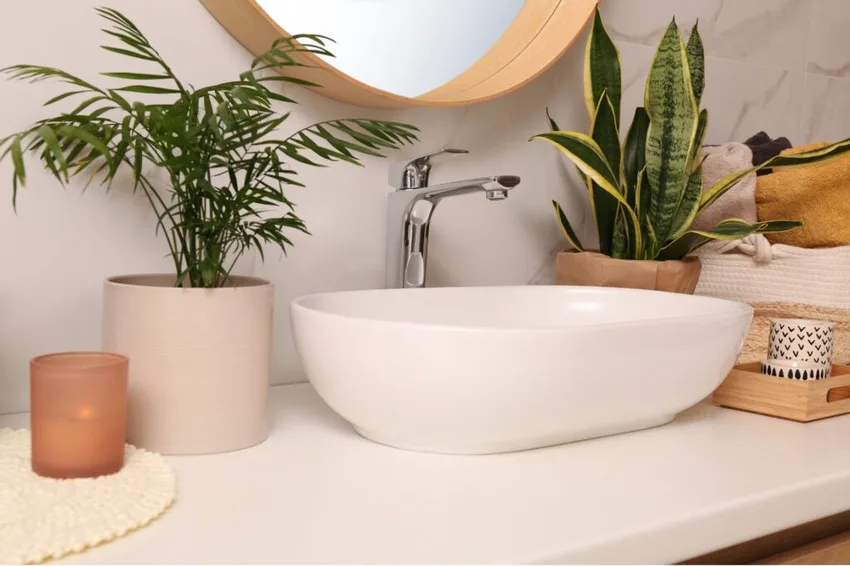 bathroom plants bathroom plants