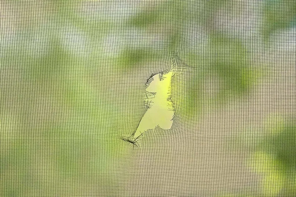 Patch a Torn Window Screen Patch a Torn Window Screen