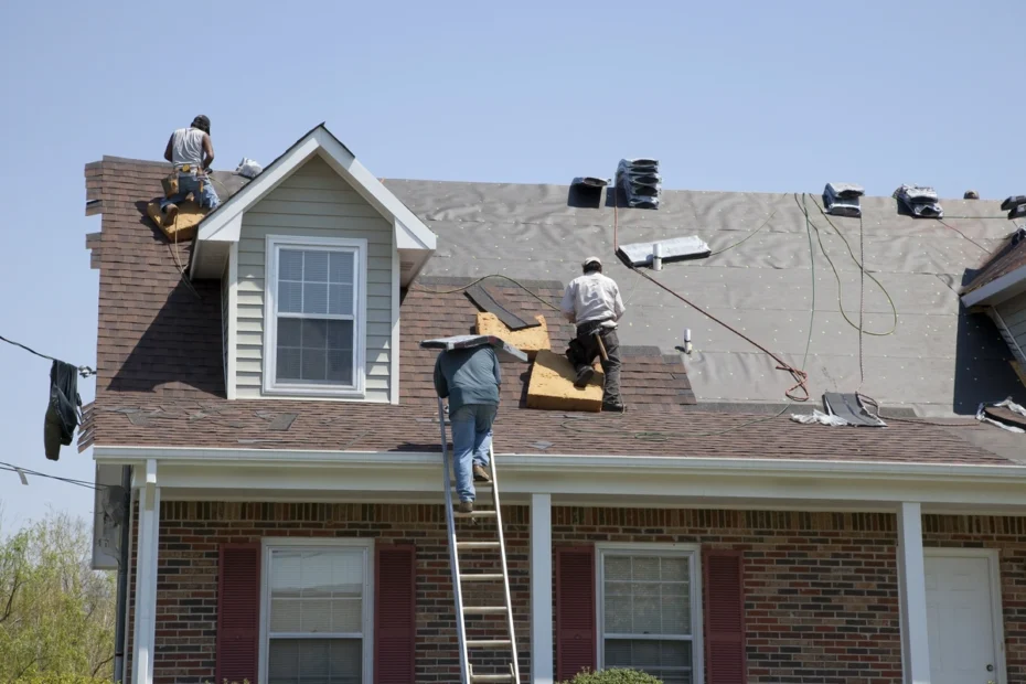 Roof Repair or Full Replacement
