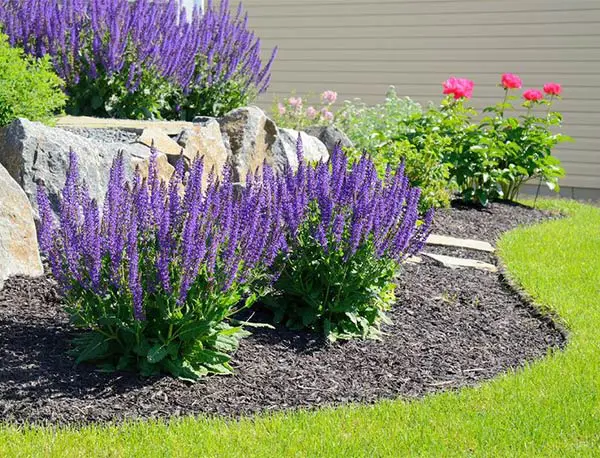 Irrigation Contractor