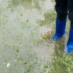 Standing Water in Your Sewer Line